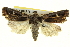  ( - BIOUG04716-G05)  @13 [ ] CreativeCommons - Attribution (2013) CBG Photography Group Centre for Biodiversity Genomics