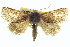  ( - BIOUG04716-G09)  @14 [ ] CreativeCommons - Attribution (2013) CBG Photography Group Centre for Biodiversity Genomics
