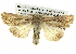  ( - BIOUG05065-B01)  @14 [ ] CreativeCommons - Attribution (2013) CBG Photography Group Centre for Biodiversity Genomics