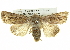  ( - BIOUG05065-B12)  @15 [ ] CreativeCommons - Attribution (2013) CBG Photography Group Centre for Biodiversity Genomics