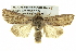  ( - BIOUG05065-C03)  @15 [ ] CreativeCommons - Attribution (2013) CBG Photography Group Centre for Biodiversity Genomics