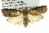  ( - BIOUG05065-C05)  @13 [ ] CreativeCommons - Attribution (2013) CBG Photography Group Centre for Biodiversity Genomics