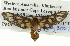  ( - BIOUG05068-C03)  @13 [ ] CreativeCommons - Attribution (2013) CBG Photography Group Centre for Biodiversity Genomics