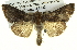  ( - BIOUG05068-E04)  @14 [ ] CreativeCommons - Attribution (2013) CBG Photography Group Centre for Biodiversity Genomics