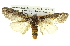  ( - BIOUG05069-B09)  @13 [ ] CreativeCommons - Attribution (2013) CBG Photography Group Centre for Biodiversity Genomics