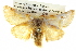 ( - BIOUG05069-D08)  @14 [ ] CreativeCommons - Attribution (2013) CBG Photography Group Centre for Biodiversity Genomics