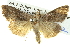  ( - BIOUG05069-H05)  @14 [ ] CreativeCommons - Attribution (2013) CBG Photography Group Centre for Biodiversity Genomics