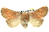  ( - BIOUG05069-H09)  @15 [ ] CreativeCommons - Attribution (2013) CBG Photography Group Centre for Biodiversity Genomics