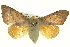  ( - BIOUG05070-D02)  @14 [ ] CreativeCommons - Attribution (2013) CBG Photography Group Centre for Biodiversity Genomics