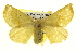  ( - BIOUG05070-F01)  @14 [ ] CreativeCommons - Attribution (2013) CBG Photography Group Centre for Biodiversity Genomics