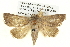  ( - BIOUG05073-A02)  @14 [ ] CreativeCommons - Attribution (2013) CBG Photography Group Centre for Biodiversity Genomics