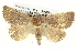  ( - BIOUG05073-A04)  @14 [ ] CreativeCommons - Attribution (2013) CBG Photography Group Centre for Biodiversity Genomics