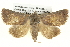  ( - BIOUG05073-A05)  @15 [ ] CreativeCommons - Attribution (2013) CBG Photography Group Centre for Biodiversity Genomics