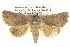  ( - BIOUG05073-A06)  @14 [ ] CreativeCommons - Attribution (2013) CBG Photography Group Centre for Biodiversity Genomics