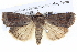  ( - BIOUG05074-F07)  @14 [ ] CreativeCommons - Attribution (2013) CBG Photography Group Centre for Biodiversity Genomics