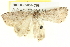  ( - BIOUG05054-C08)  @12 [ ] CreativeCommons - Attribution (2013) CBG Photography Group Centre for Biodiversity Genomics