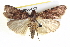  ( - BIOUG05054-E02)  @14 [ ] CreativeCommons - Attribution (2013) CBG Photography Group Centre for Biodiversity Genomics