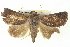  ( - BIOUG05054-G02)  @14 [ ] CreativeCommons - Attribution (2013) CBG Photography Group Centre for Biodiversity Genomics