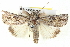  ( - BIOUG05054-H01)  @14 [ ] CreativeCommons - Attribution (2013) CBG Photography Group Centre for Biodiversity Genomics