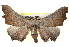  ( - BIOUG05054-H04)  @14 [ ] CreativeCommons - Attribution (2013) CBG Photography Group Centre for Biodiversity Genomics