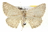  ( - BIOUG05055-A12)  @13 [ ] CreativeCommons - Attribution (2013) CBG Photography Group Centre for Biodiversity Genomics