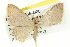  ( - BIOUG05055-D05)  @12 [ ] CreativeCommons - Attribution (2013) CBG Photography Group Centre for Biodiversity Genomics