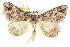  ( - BIOUG05055-E06)  @14 [ ] CreativeCommons - Attribution (2013) CBG Photography Group Centre for Biodiversity Genomics