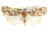  ( - BIOUG05055-G09)  @15 [ ] CreativeCommons - Attribution (2013) CBG Photography Group Centre for Biodiversity Genomics