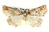  ( - BIOUG05056-A10)  @12 [ ] CreativeCommons - Attribution (2013) CBG Photography Group Centre for Biodiversity Genomics