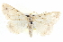  ( - BIOUG05056-C07)  @14 [ ] CreativeCommons - Attribution (2013) CBG Photography Group Centre for Biodiversity Genomics