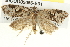 ( - BIOUG05056-E01)  @14 [ ] CreativeCommons - Attribution (2013) CBG Photography Group Centre for Biodiversity Genomics