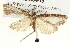  ( - BIOUG05056-E10)  @13 [ ] CreativeCommons - Attribution (2013) CBG Photography Group Centre for Biodiversity Genomics
