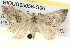  ( - BIOUG05056-G06)  @13 [ ] CreativeCommons - Attribution (2013) CBG Photography Group Centre for Biodiversity Genomics