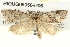  ( - BIOUG05056-H06)  @14 [ ] CreativeCommons - Attribution (2013) CBG Photography Group Centre for Biodiversity Genomics