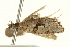  ( - BIOUG05056-H07)  @11 [ ] CreativeCommons - Attribution (2013) CBG Photography Group Centre for Biodiversity Genomics