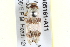  ( - BIOUG05161-A11)  @13 [ ] CreativeCommons - Attribution (2013) CBG Photography Group Centre for Biodiversity Genomics