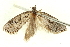  ( - BIOUG05161-C04)  @13 [ ] CreativeCommons - Attribution (2013) CBG Photography Group Centre for Biodiversity Genomics