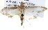  ( - BIOUG05161-C08)  @13 [ ] CreativeCommons - Attribution (2013) CBG Photography Group Centre for Biodiversity Genomics