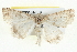  ( - BIOUG05161-E04)  @12 [ ] CreativeCommons - Attribution (2013) CBG Photography Group Centre for Biodiversity Genomics