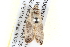  ( - BIOUG05161-F01)  @12 [ ] CreativeCommons - Attribution (2013) CBG Photography Group Centre for Biodiversity Genomics