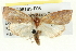  ( - BIOUG05161-F08)  @13 [ ] CreativeCommons - Attribution (2013) CBG Photography Group Centre for Biodiversity Genomics
