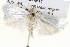  ( - BIOUG05162-E11)  @13 [ ] CreativeCommons - Attribution (2013) CBG Photography Group Centre for Biodiversity Genomics
