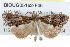  ( - BIOUG05162-F05)  @13 [ ] CreativeCommons - Attribution (2013) CBG Photography Group Centre for Biodiversity Genomics