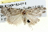  ( - BIOUG05162-G11)  @12 [ ] CreativeCommons - Attribution (2013) CBG Photography Group Centre for Biodiversity Genomics