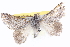  ( - BIOUG05164-A04)  @14 [ ] CreativeCommons - Attribution (2013) CBG Photography Group Centre for Biodiversity Genomics