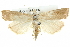  ( - BIOUG05164-B05)  @15 [ ] CreativeCommons - Attribution (2013) CBG Photography Group Centre for Biodiversity Genomics