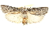  ( - BIOUG05164-D11)  @12 [ ] CreativeCommons - Attribution (2013) CBG Photography Group Centre for Biodiversity Genomics