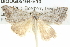 ( - BIOUG05164-E10)  @13 [ ] CreativeCommons - Attribution (2013) CBG Photography Group Centre for Biodiversity Genomics