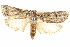  ( - BIOUG05164-F02)  @12 [ ] CreativeCommons - Attribution (2013) CBG Photography Group Centre for Biodiversity Genomics