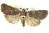  ( - BIOUG05164-G10)  @14 [ ] CreativeCommons - Attribution (2013) CBG Photography Group Centre for Biodiversity Genomics